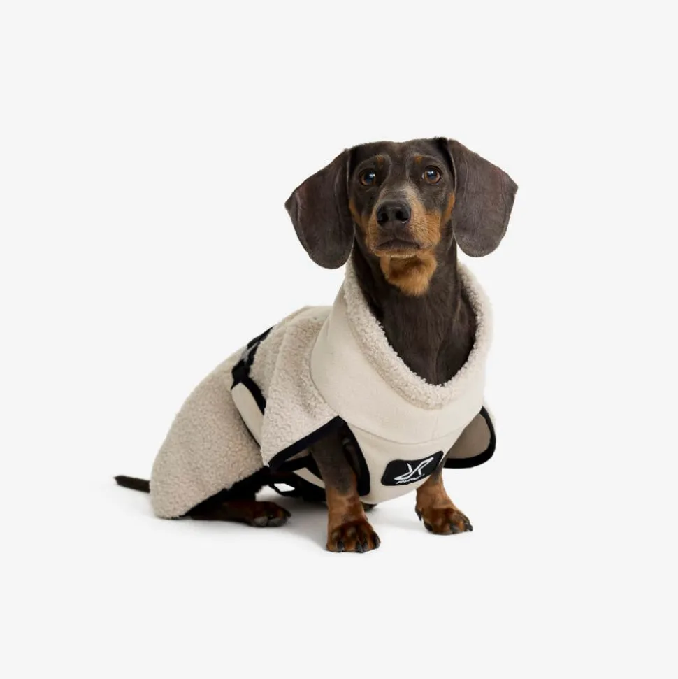 Bigfoot Dog Jacket Hund