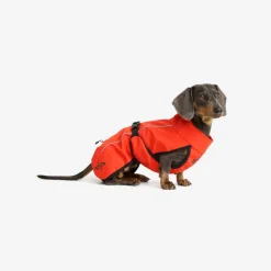 Cyclone Dog Jacket Hund