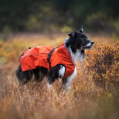 Cyclone Dog Jacket Hund
