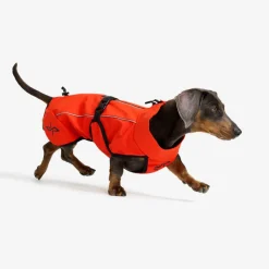 Cyclone Dog Jacket Hund