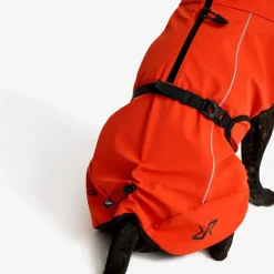 Cyclone Dog Jacket Hund