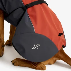 Cyclone Dog Jacket Hund