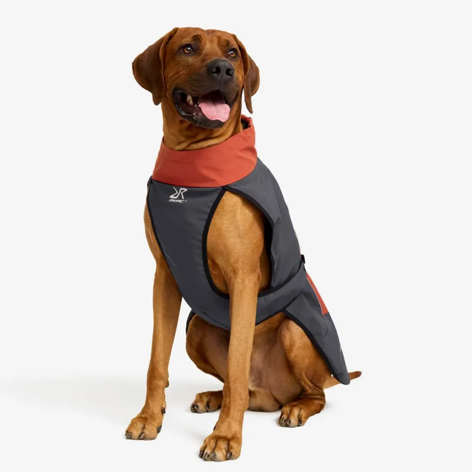 Cyclone Dog Jacket Hund