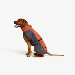 Cyclone Dog Jacket Hund