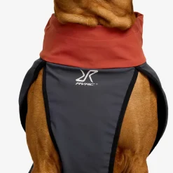 Cyclone Dog Jacket Hund