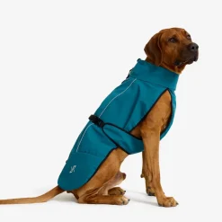 Cyclone Dog Jacket Hund