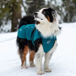 Cyclone Dog Jacket Hund