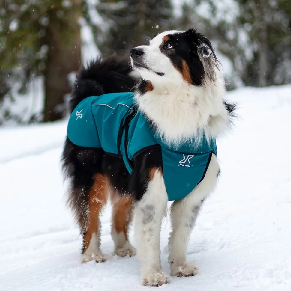 Cyclone Dog Jacket Hund
