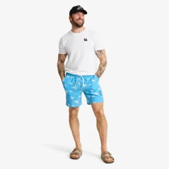 Summer Swim Shorts Herre