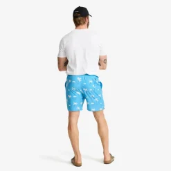 Summer Swim Shorts Herre