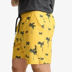 Summer Swim Shorts Herre