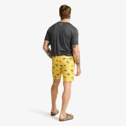 Summer Swim Shorts Herre