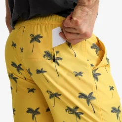Summer Swim Shorts Herre